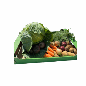 Sriubos rinkinys