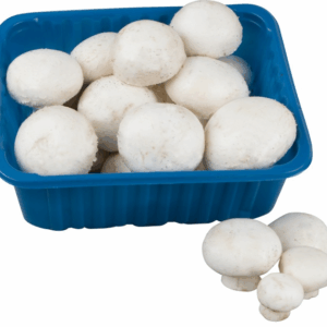 Pievagrybiai balti, 500 g